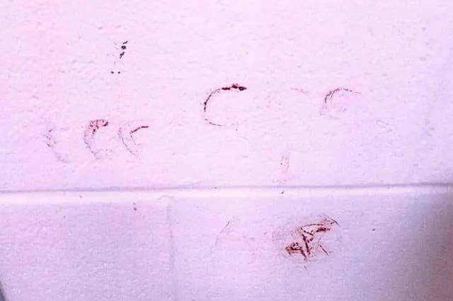 Nikolas Cruz usó su propia sangre para escribir '666' en la pared de la celda de la prisión