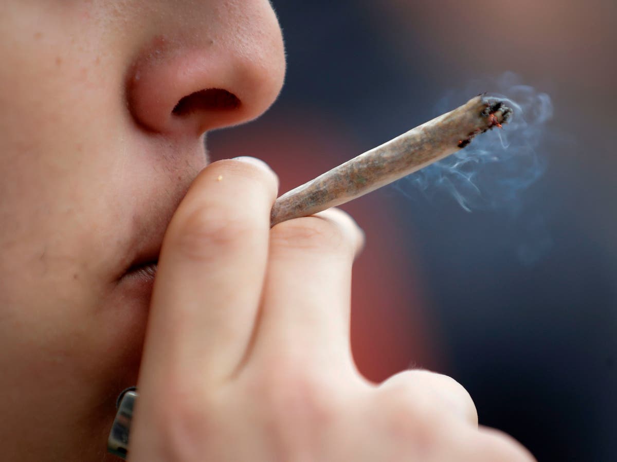 Young Americans using cannabis and hallucinogens at record rate