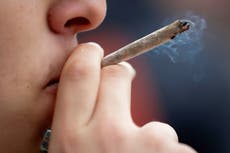 Germany drafts plans to legalise cannabis