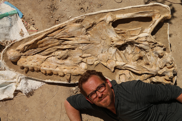 <p>Study author Nick Longrich with the mosasaur fossil</p>