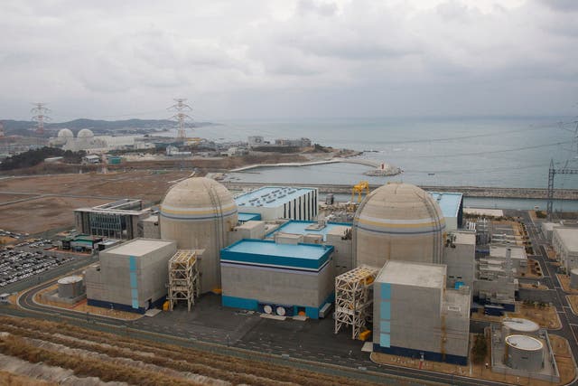 South Korea Russia Egyptian Nuclear Plant