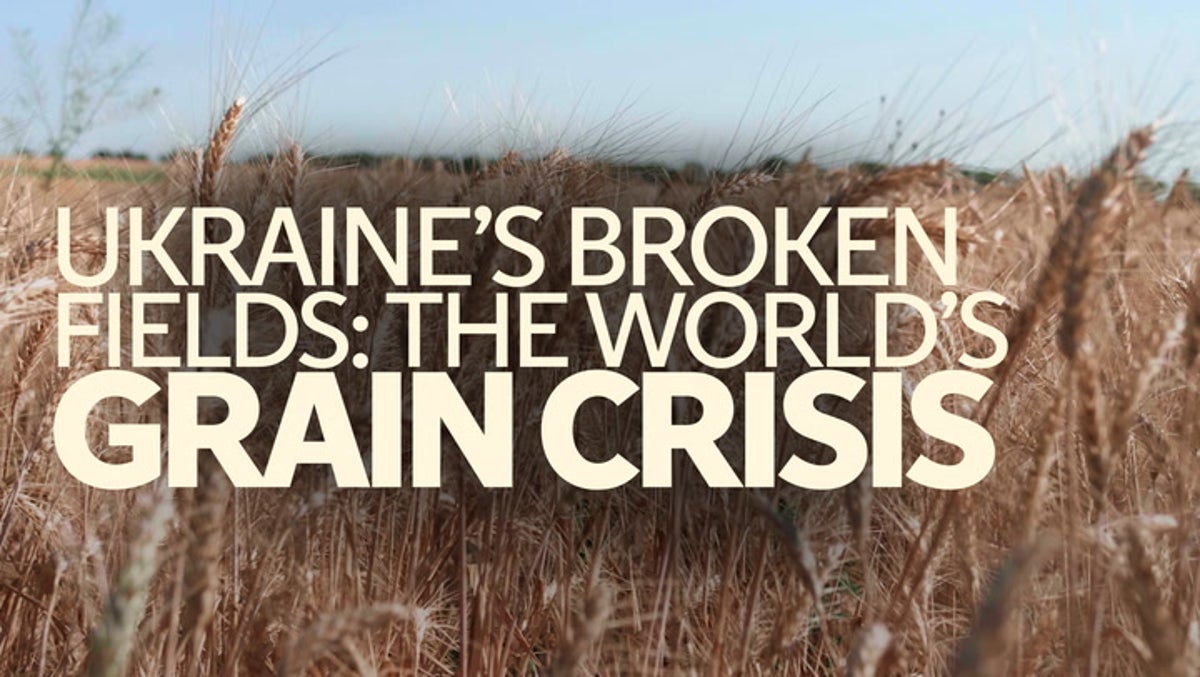 Ukraine’s broken fields: The grain crisis threatening the world’s food supply | On The Ground