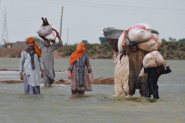 <p>Villagers carrying animal feed wade through flood waters following monsoon rainfalls in Jaffarabad district in Balochistan province </p>
