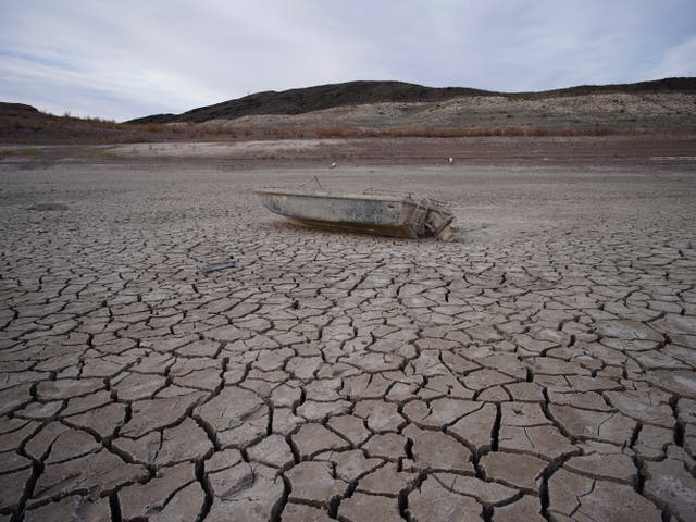 <p>Multiple bodies have been found in Lake Mead as the waterline reaches historic lows</p>