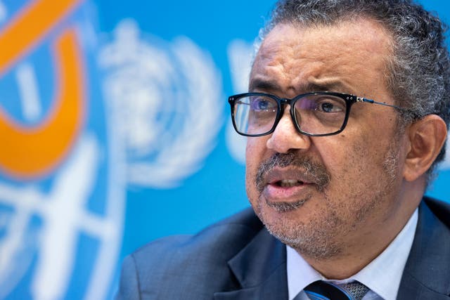 <p>Tedros Adhanom Ghebreyesus has spoken out over the conflict for a second time in recent days </p>