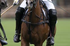 ‘Superstar’ Duke of Sussex rides to victory in annual US charity polo tournament