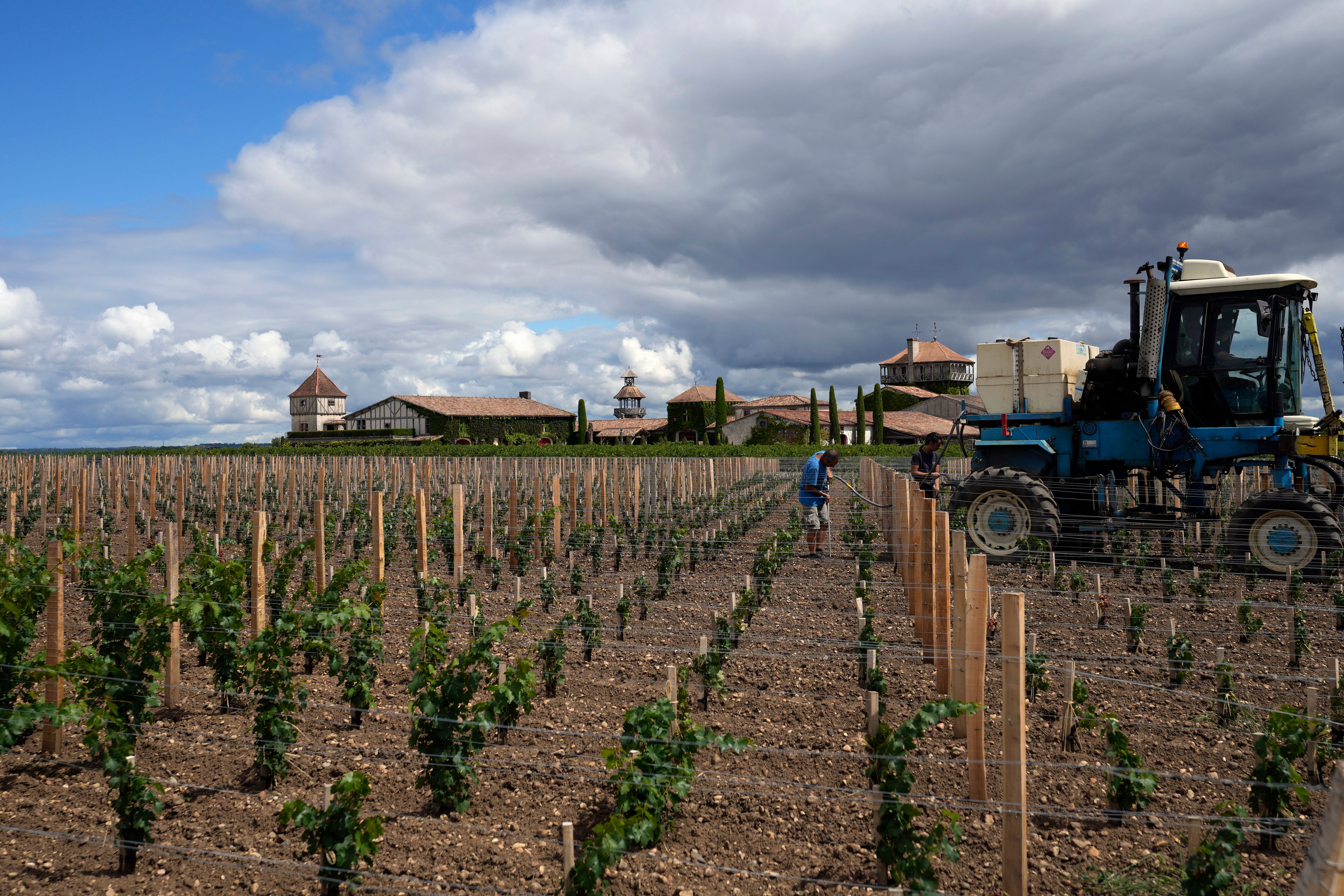 Climate France Vineyards