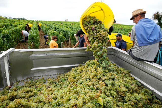 Climate France Vineyards