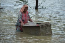 Pakistan seeks international help for flood victims