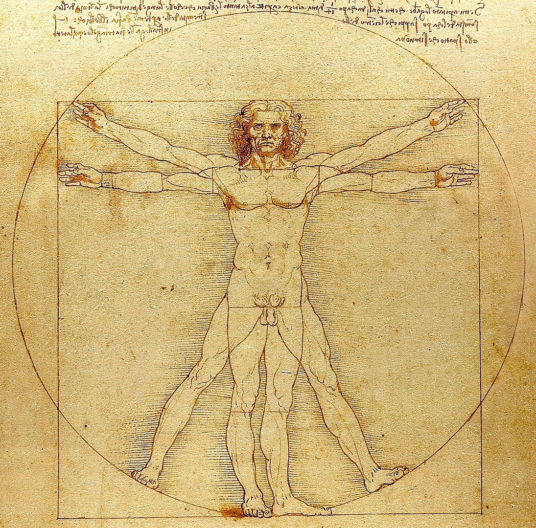 Leonardo da Vinci‘s ‘Vitruvian Man’ represents a nude human figure of ideal and symmetric proportions