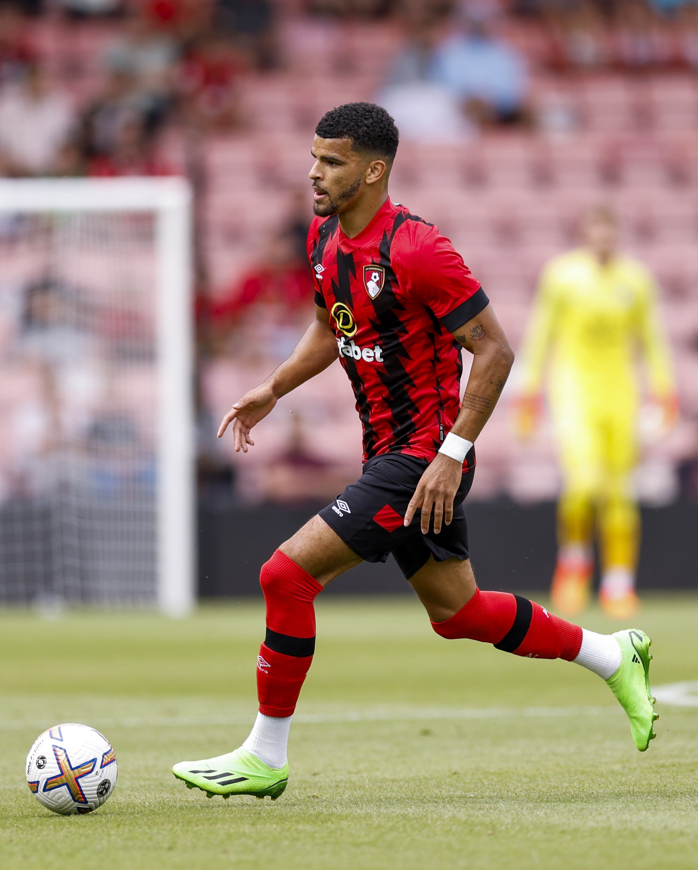 Dominic Solanke is a doubt against his former club (Steven Paston/PA)