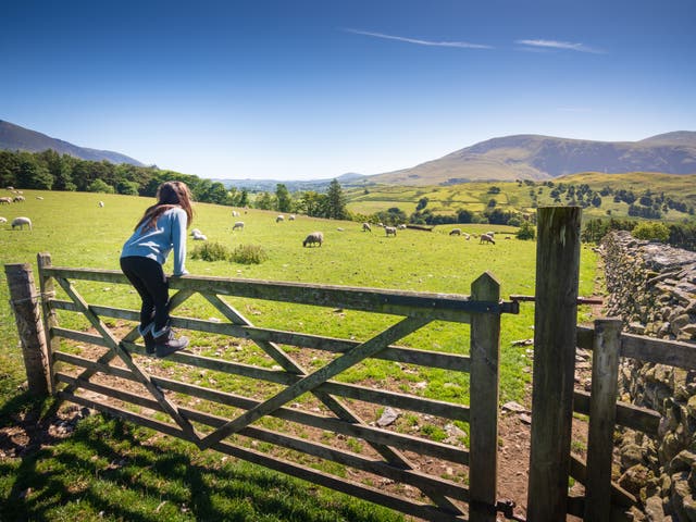 <p>A whopping 44 per cent of adults think children would have a better upbringing in the country</p>