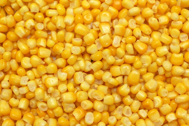 <p>Corn is at its best between July and October </p>