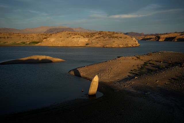 Lake Mead Bones Identified