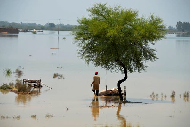 ASI-GEN PAKISTÁN-INUNDACIONES