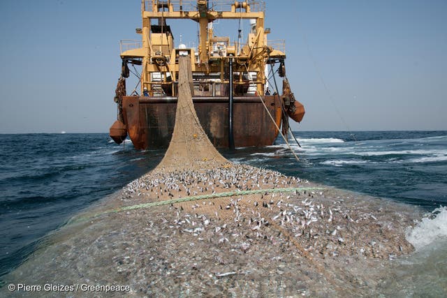 Un super arrastrero de pesca arrastra el lecho oceánico en el Atlántico. Un acuerdo para proteger los océanos del mundo en esta década crucial se derrumbó en la ONU el viernes.