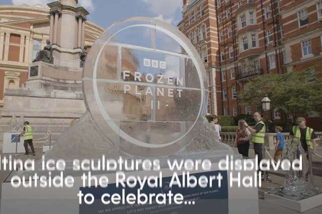 <p>Ice sculptures of animals melt outside Royal Albert Hall ahead of Frozen Planet II</p>