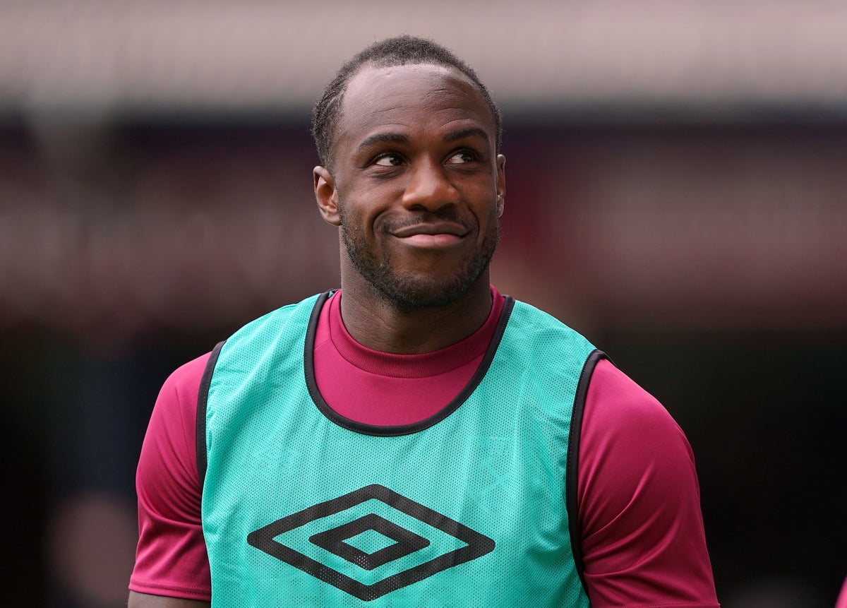 David Moyes thinks his new arrival can ease the pressure on Michail Antonio