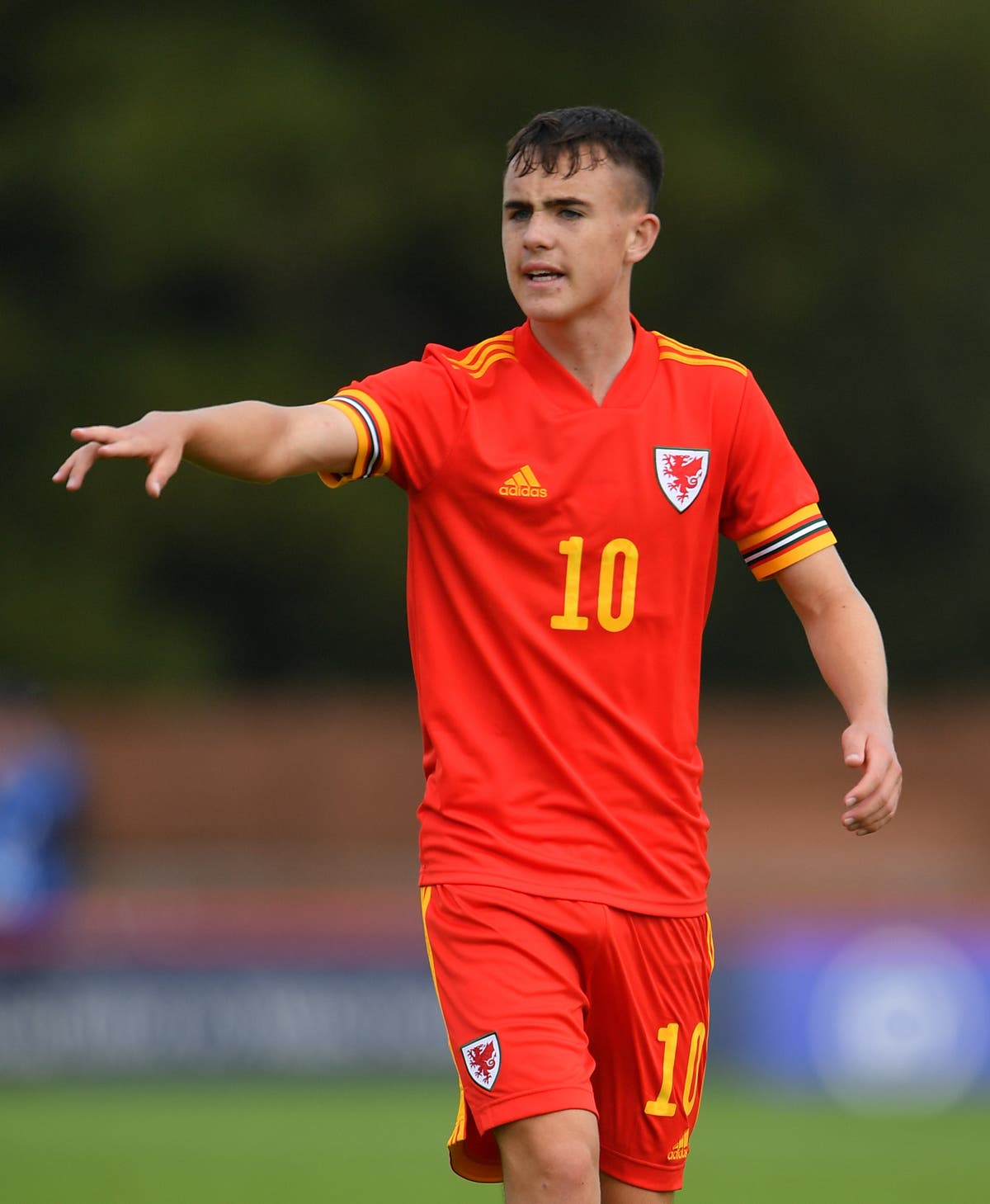Fulham midfielder Luke Harris on verge of surprise Wales call-up