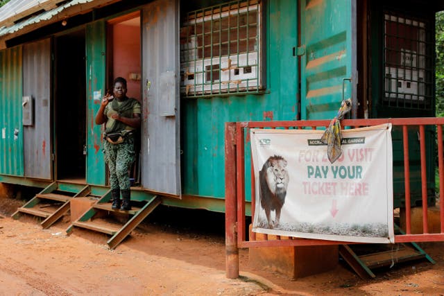 <p>A female warden guards the entrance of the Accra Zoo a day after a lion attack</p>