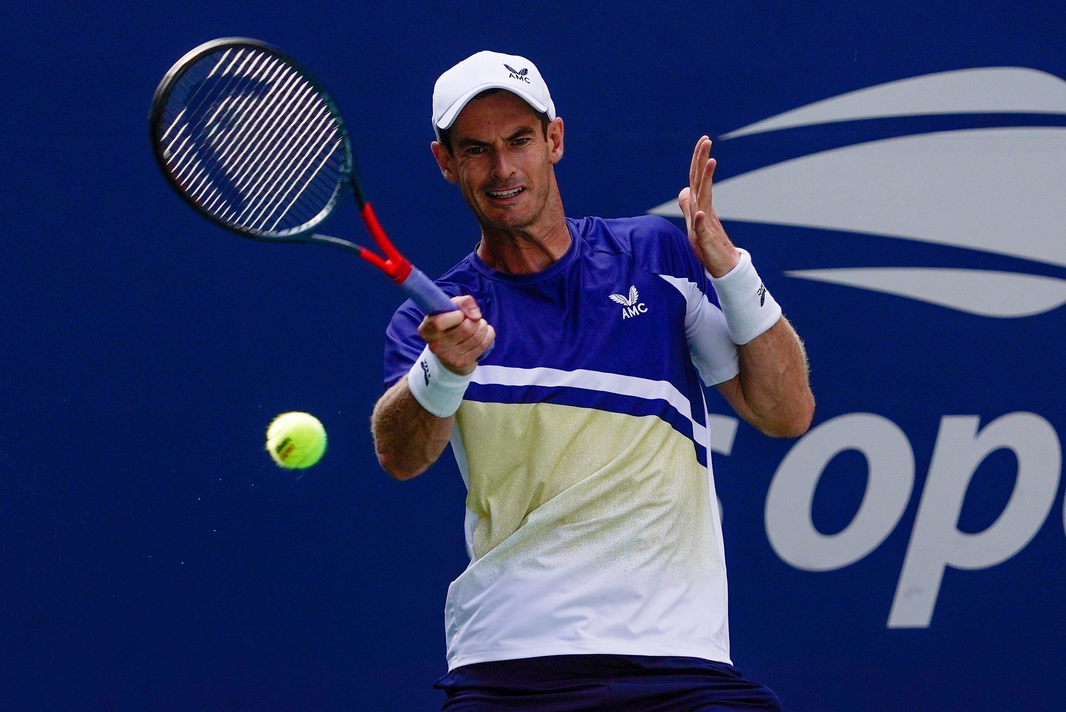 Andy Murray led a successful day for Britain at Flushing Meadows (Seth Wenig/AP)