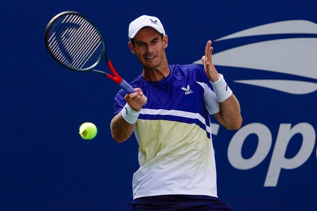 Andy Murray led a successful day for Britain at Flushing Meadows (Seth Wenig/AP)