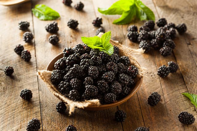 How to grow your own blackberries (Alamy/PA)