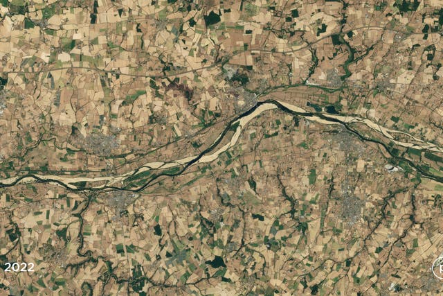 <p>Low river levels and dry fields along the Loire River near Saint-Florent-le-Vieil, France</p>