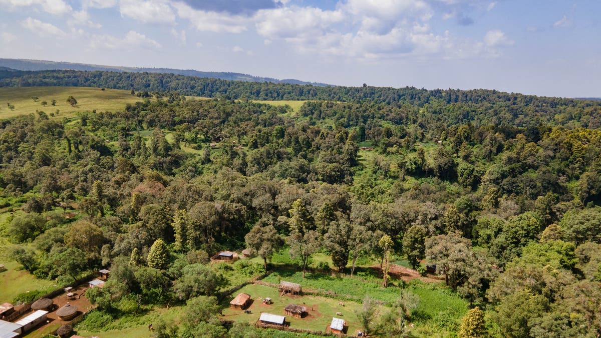 An indigenous community uses traditional bylaws to protect ancestral lands in Kenya