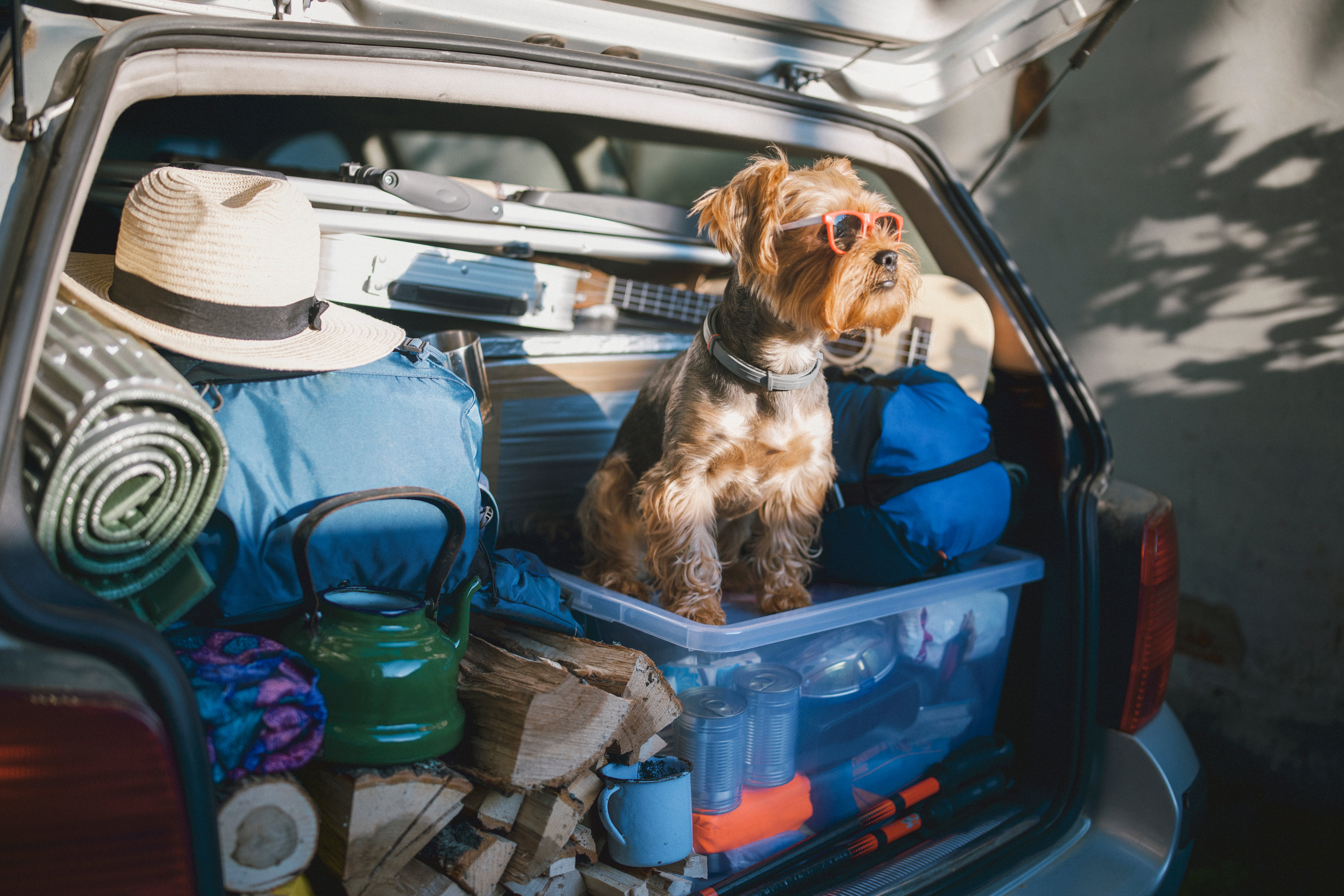 Hat, camping gear, family dog... but what else do you need to prep for your half-term roadtrip?