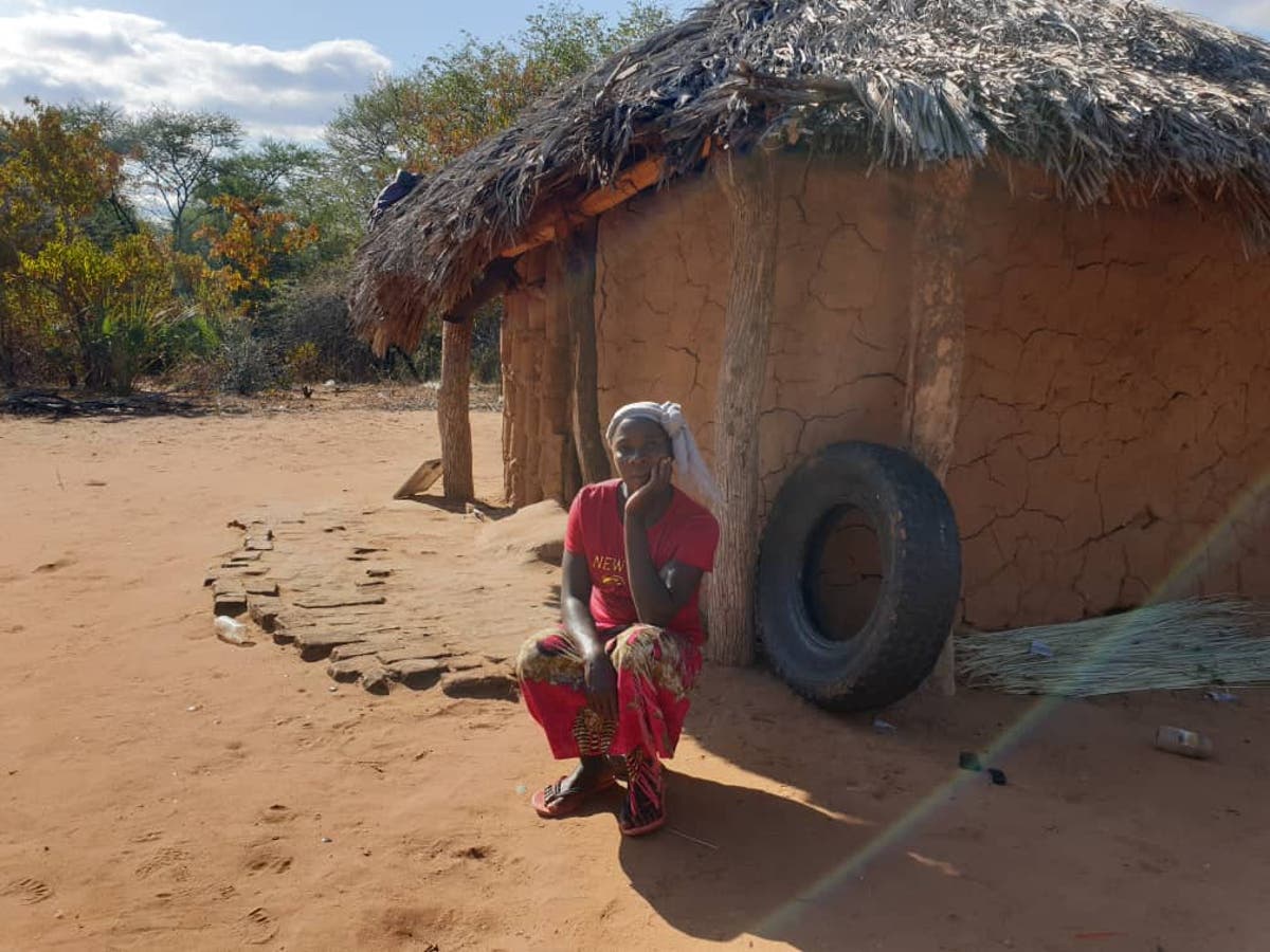 Zimbabwe’s CAMPFIRE conservation initiative not benefiting intended communities