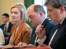 Liz Truss warned against ‘bad’ Boris Johnson mistake of filling cabinet with friends