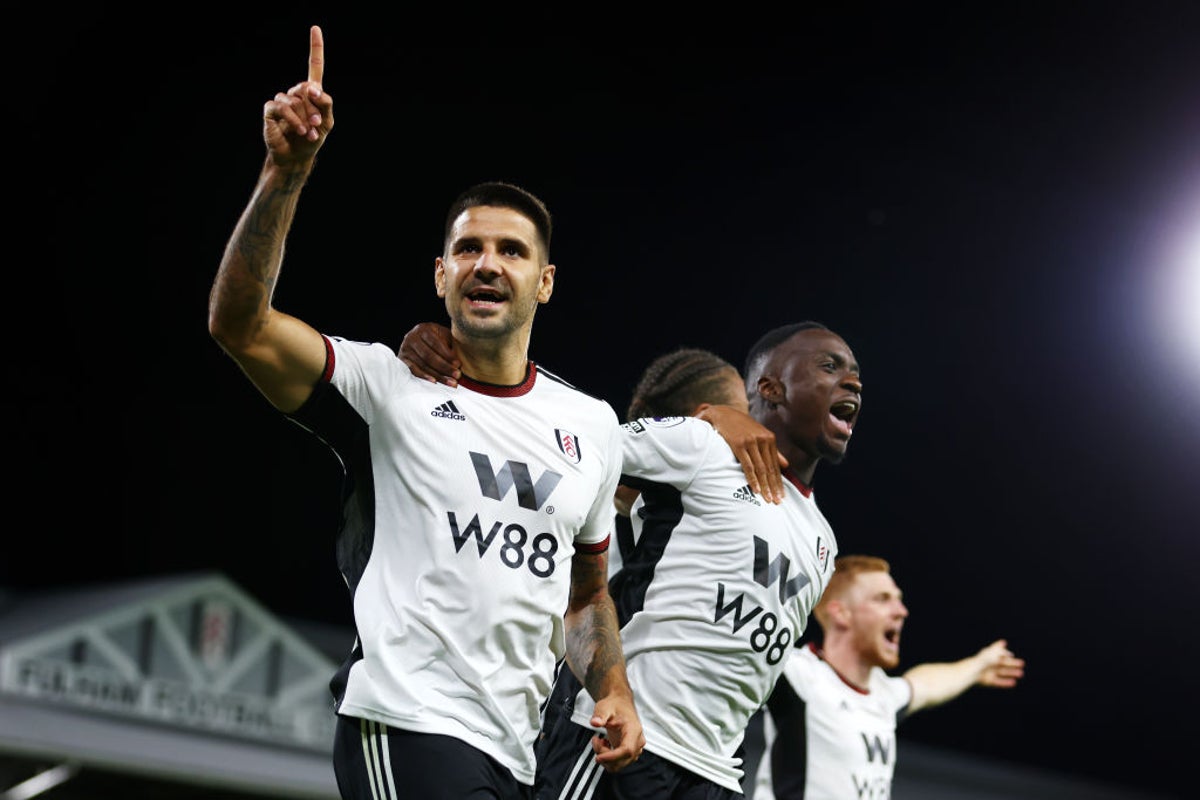Aleksandar Mitrovic scores again as Fulham end Brighton’s unbeaten start