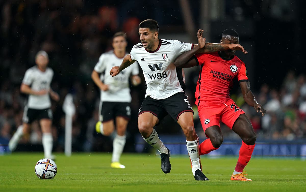 Marco Silva hails Fulham’s ‘unbelievable’ striker Aleksandar Mitrovic