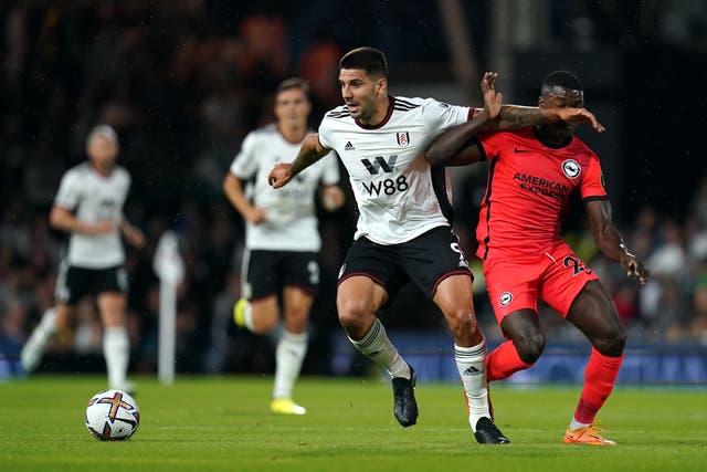 Marco Silva hailed the ‘unbelievable’ Aleksandar Mitrovic after his goal helped Fulham win 2-1 against Brighton (John Walton/PA)