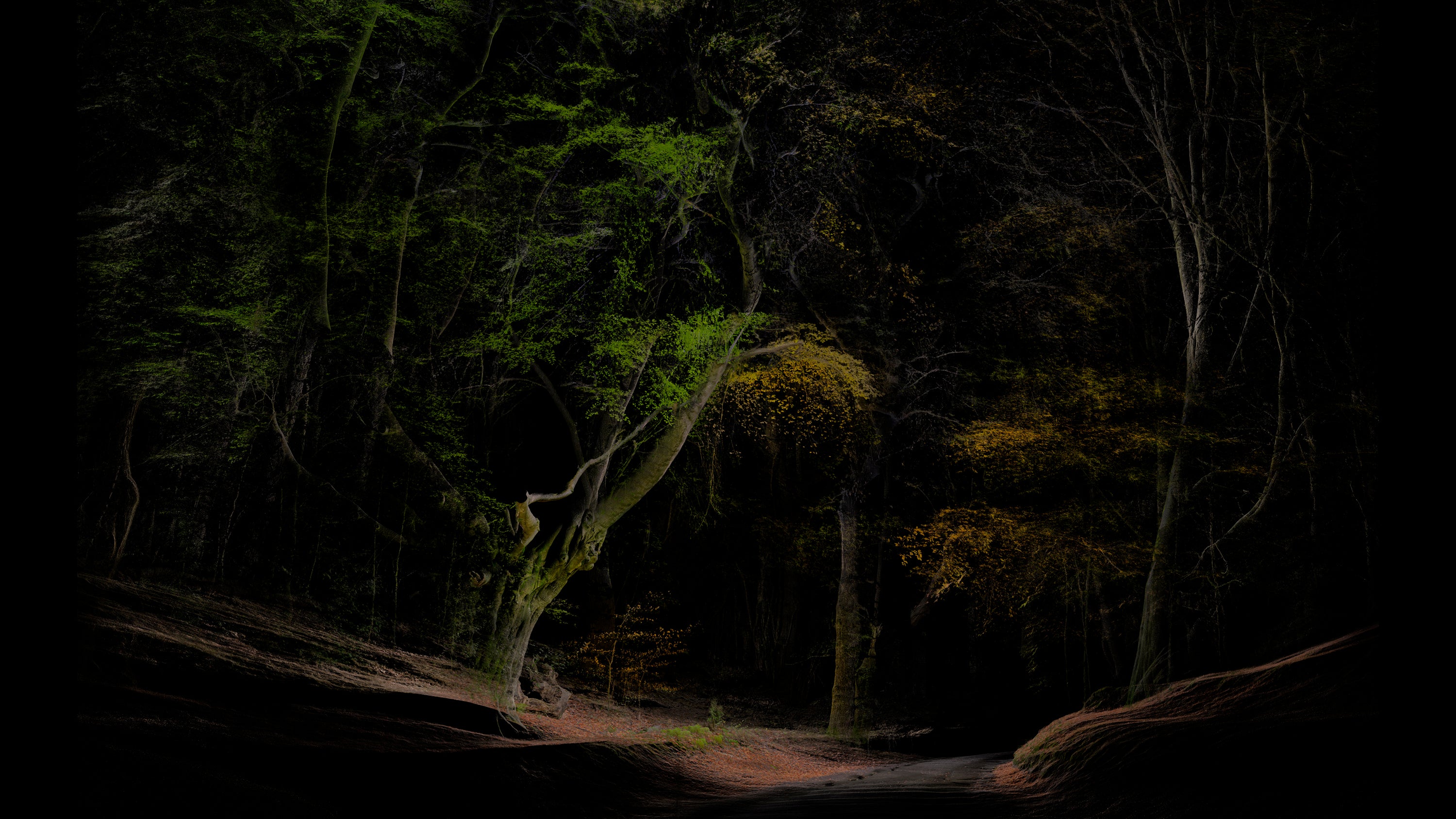 Venice Film Festival-Venice Immersive