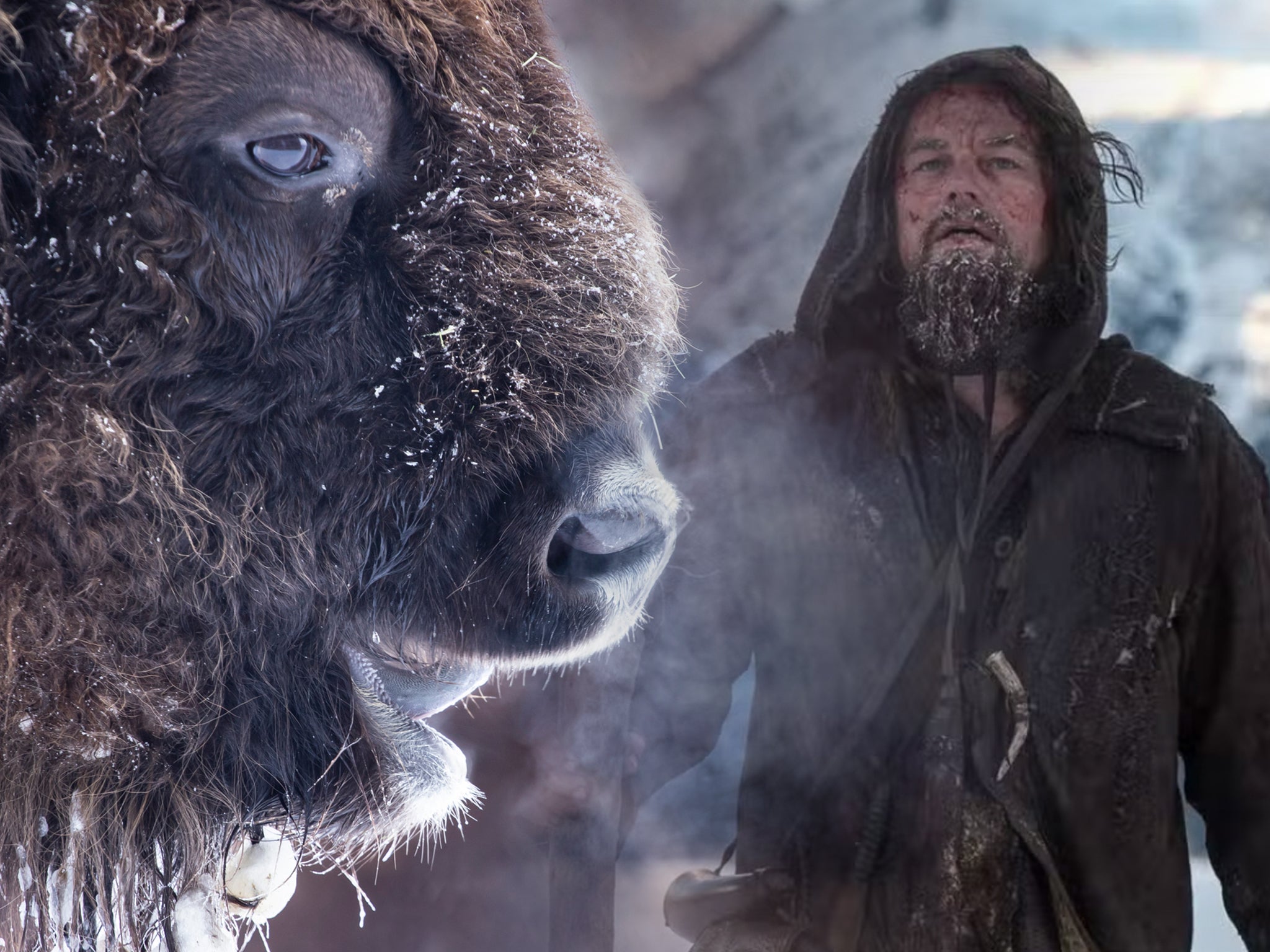 The actor has thrown his support behind a landmark UK project to reintroduce bison