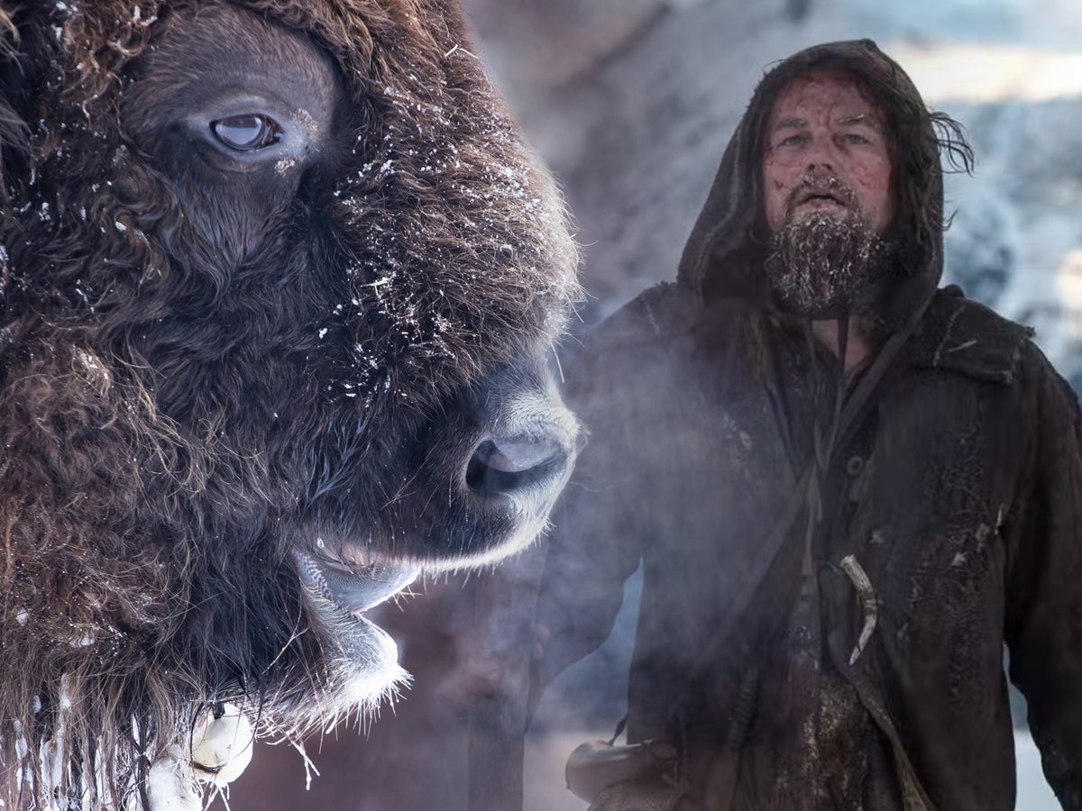 Leonardo DiCaprio applauds pioneering bison rewilding project in Kent