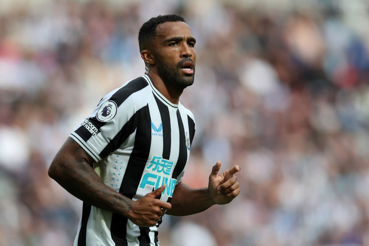 Newcastle’s Callum Wilson left frustrated after suffering hamstring injury