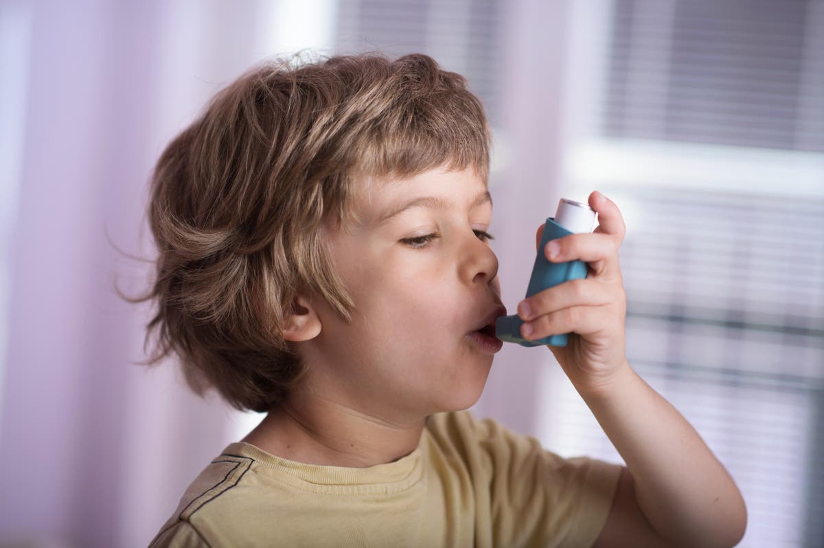 Life-threatening asthma set to soar in children: 7 ways to prevent back-to-school attacks
