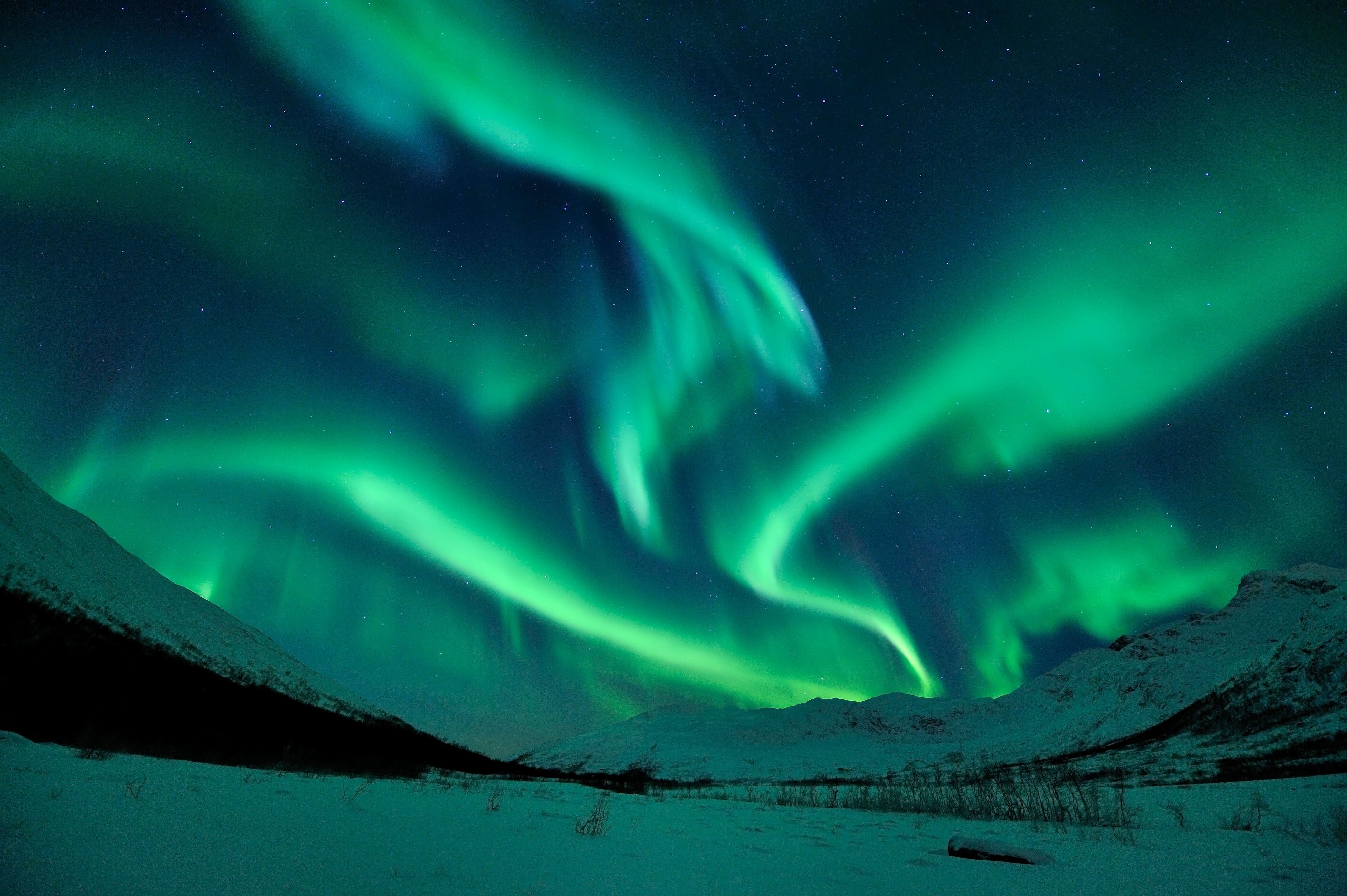 Experience the incredible phenomenon of the Northern Lights on a scenic Norwegian cruise