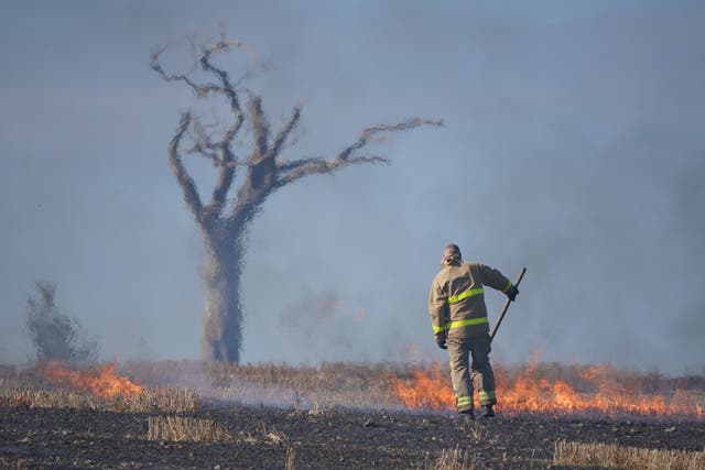 A firefighter tackles a blaze in a Co Down field made famous by the music star Rihanna (Niall Carson/PA)