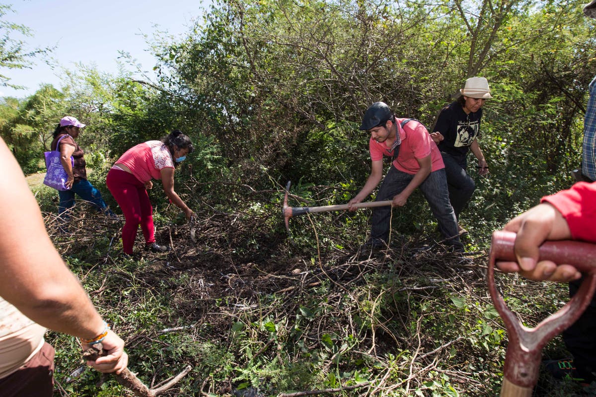 3rd volunteer grave search activist killed in Mexico