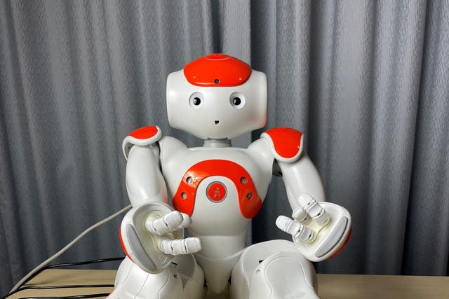 Robots could help to detect mental wellbeing issues in children, a study suggests. (Cambridge University/ PA)