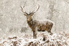 UK weather: Temperatures to plummet to -6°C amid snow shower warning