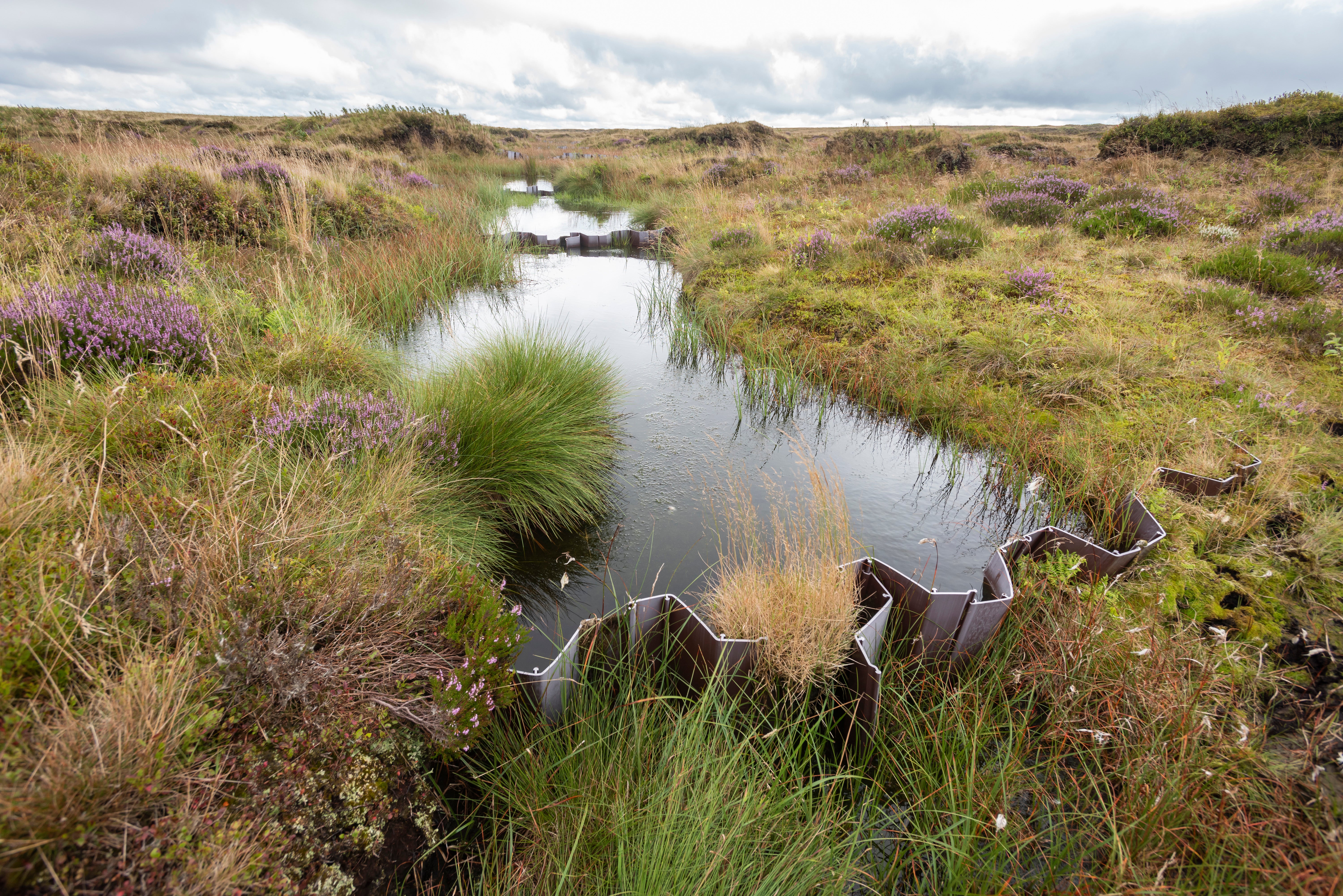 A blocked gully helping rewet the moorat Kinder Scout (Paul Harris/National Trust/PA)