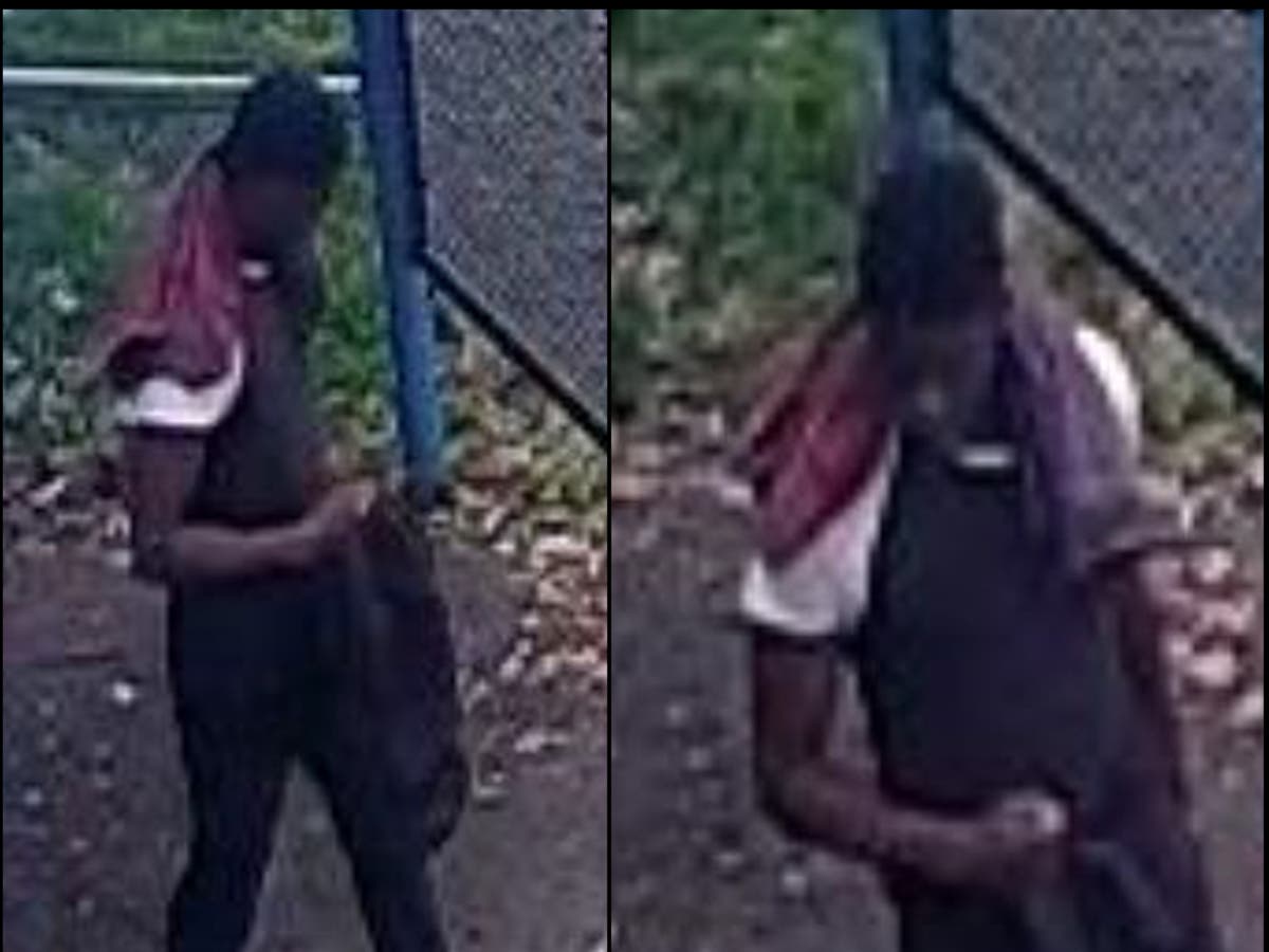 Girl, 11, ‘touched inappropriately by man in park’ as police launch appeal