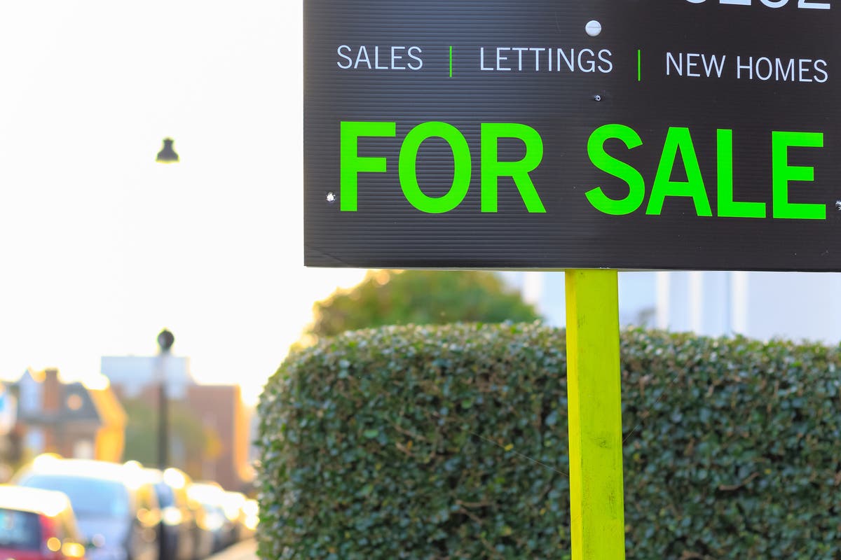 House price growth cools as property market loses momentum, Nationwide says