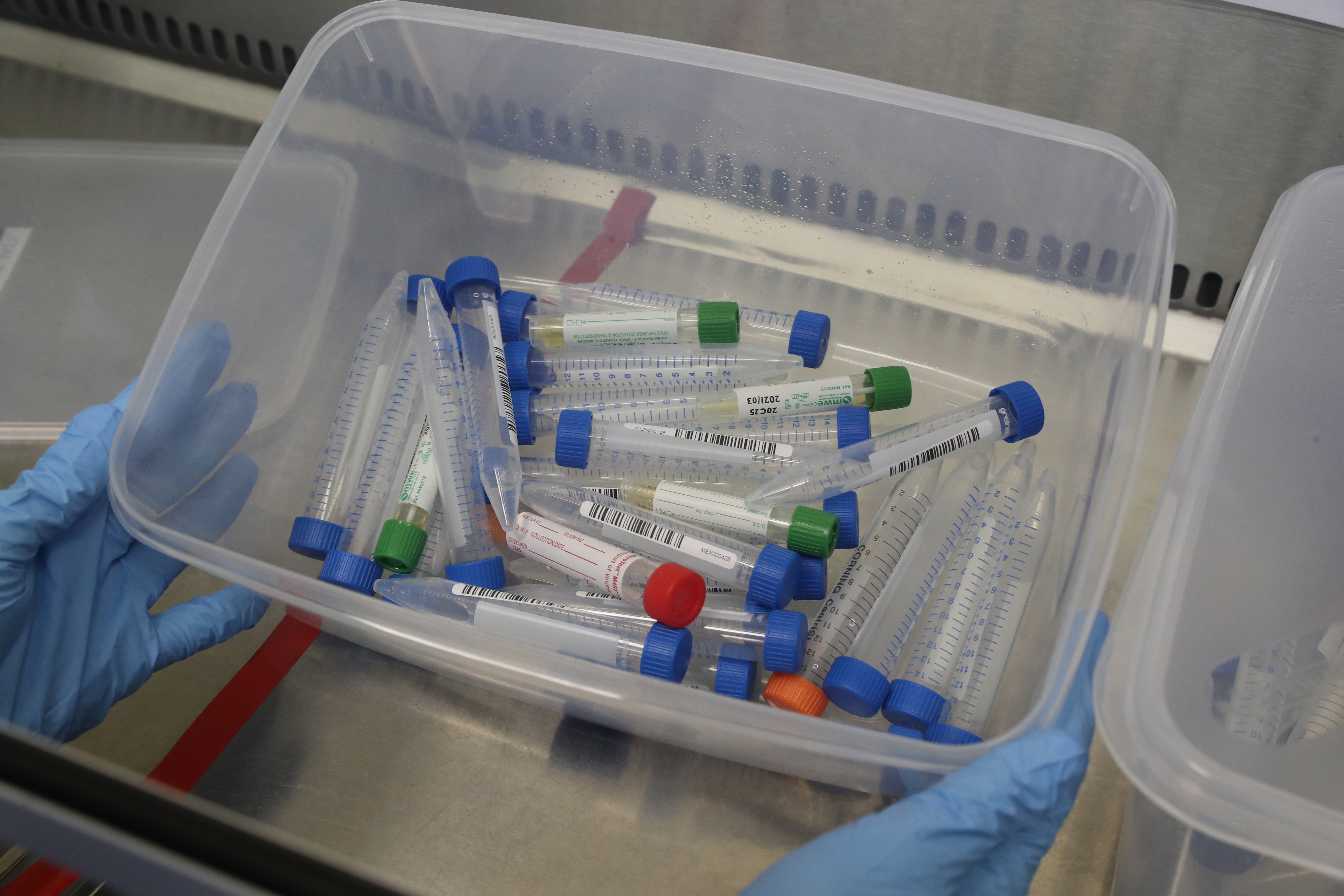 Samples of Covid-19 in test tubes at the Queen Elizabeth University Hospital, Glasgow (Andrew Milligan/PA)