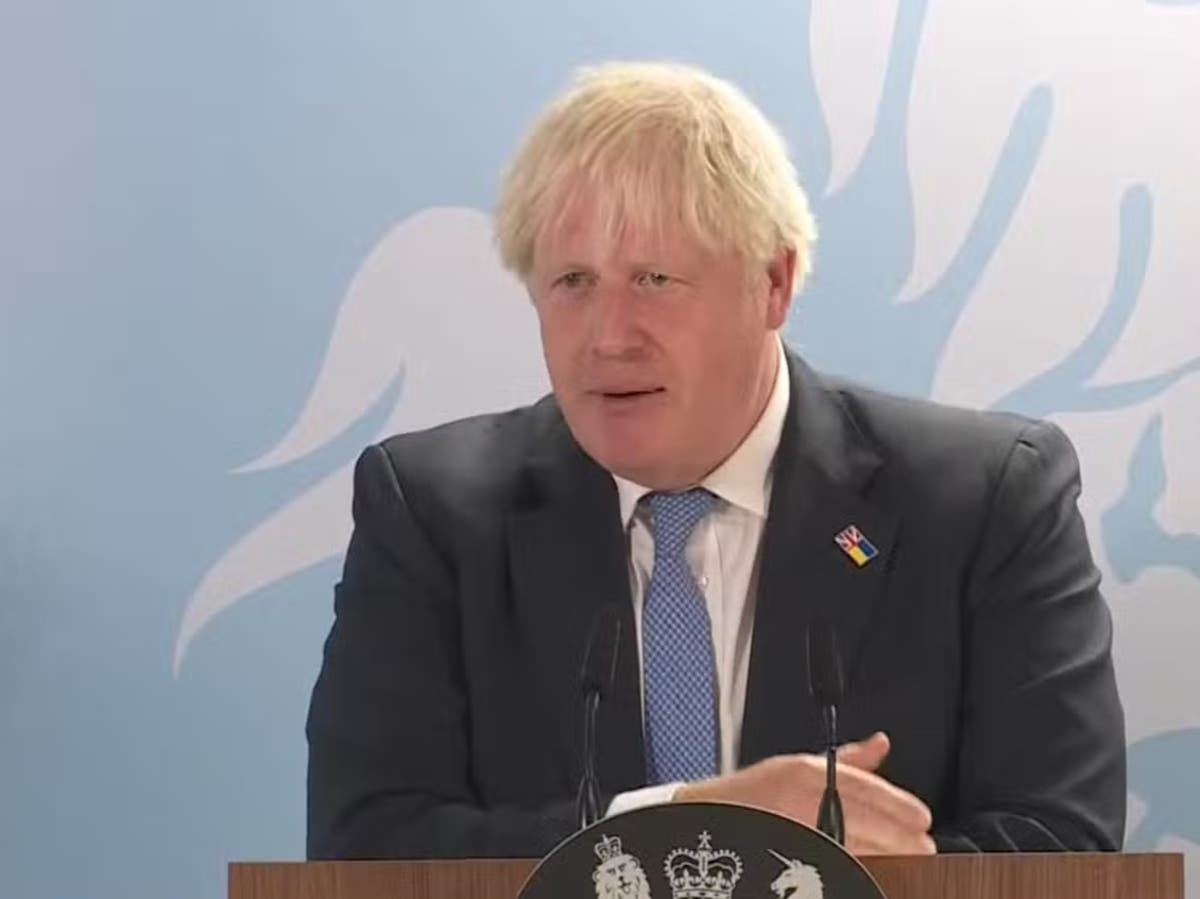 Boris Johnson confirms £700m of state backing for new nuclear reactor at Sizewell